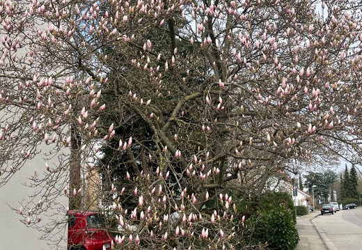 20220325073917-93c31cb6